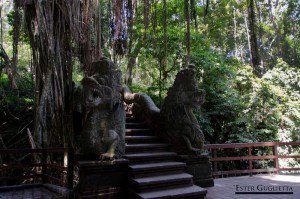 Ubud, Monkey Forest