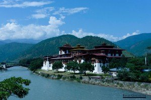 Punakha Dzong, Monasterio