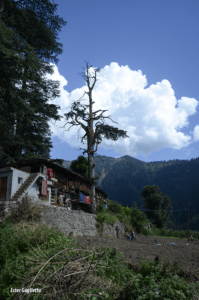 Jana, Himachal Pradesh