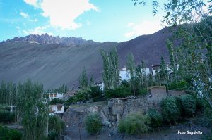 Alchi, Ladakh